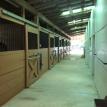 Back barn isle stalls.